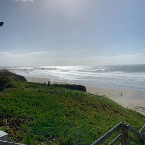 Meet your Posher, Henry